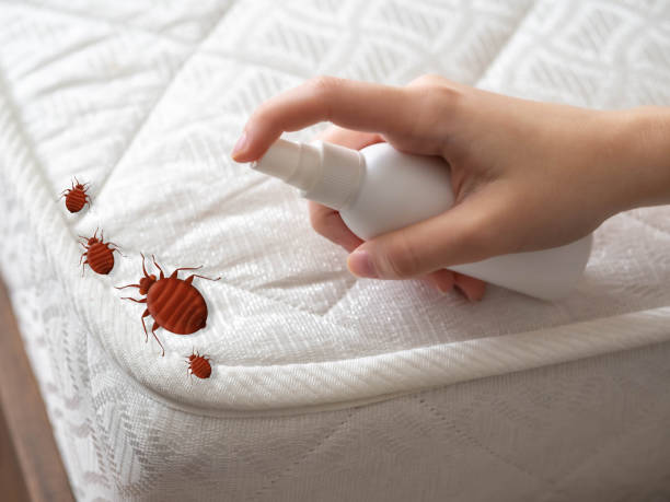 Best Cockroach Control  in Auburn, MI